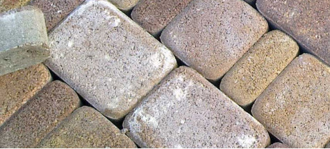 Висоли на тротуарній плитці – чому вони з’являються і як їх прибрати