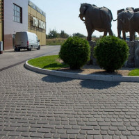 Бруківка Львівська, колір Чорний, 6 см