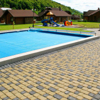 Бруківка Львівська, колір Гірчичний, 4,5 см