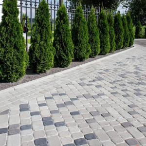 Бруківка Львівська сірого та чорного кольору