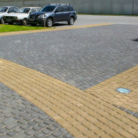 Бруківка Львівська, колір Гірчичний, 6 см