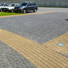 Бруківка Львівська, колір Гірчичний, 6 см