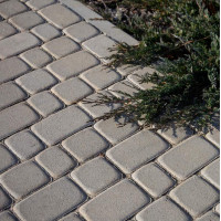 Бруківка Львівська, колір Сірий, 4,5 см