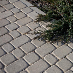 Бруківка Львівська, колір Сірий, 6 см