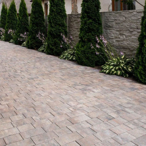 Бруківка Романо в кольорі Сепія