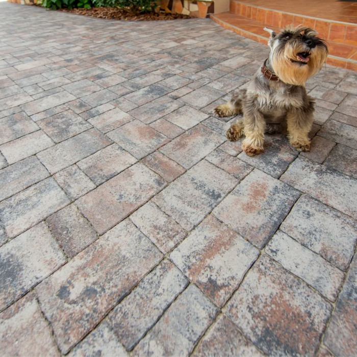 Тротуарна плитка Теано, колір Сепія, 6 см