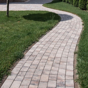 Бруківка торні в кольору Сепія